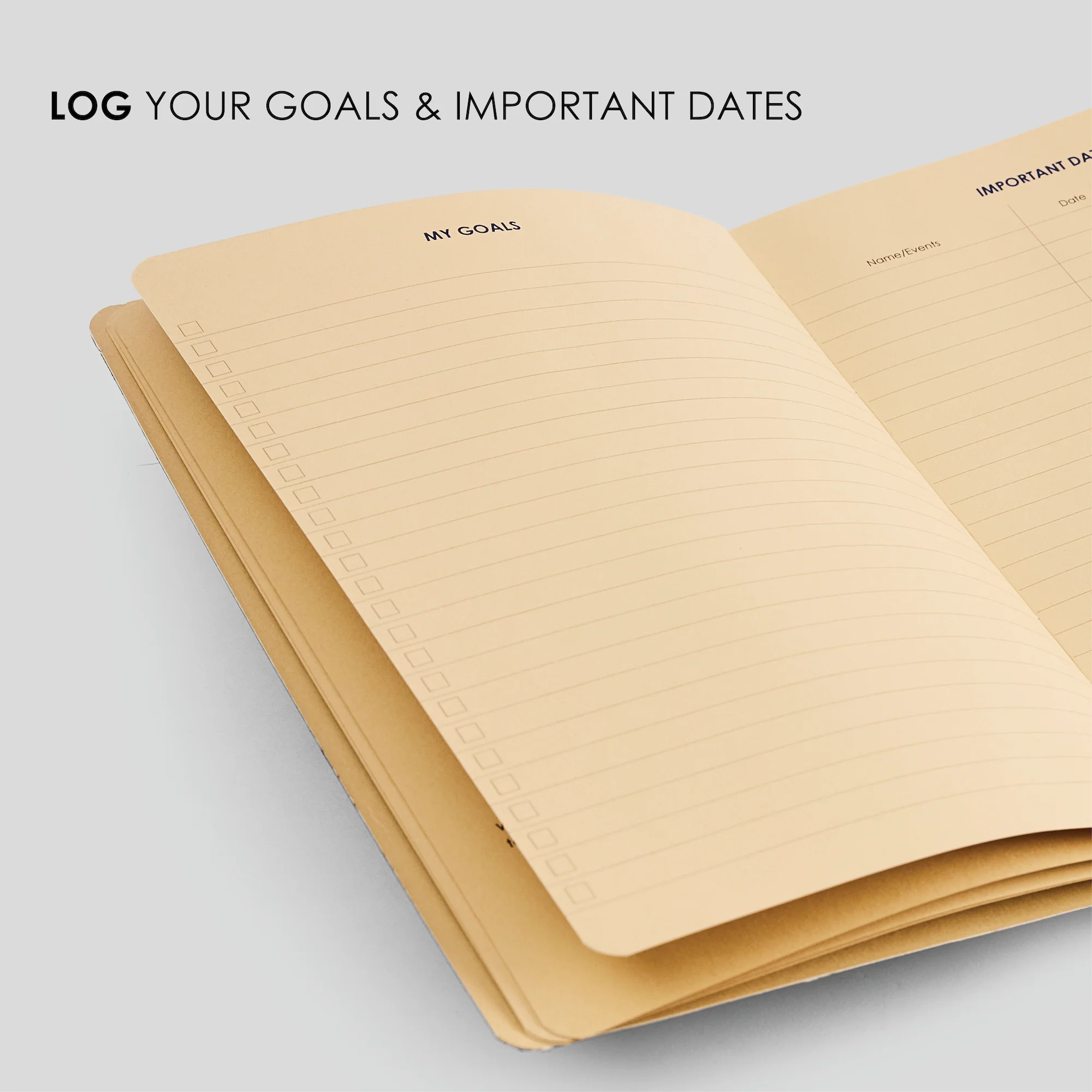 12 Week Productivity Journal - Image 3
