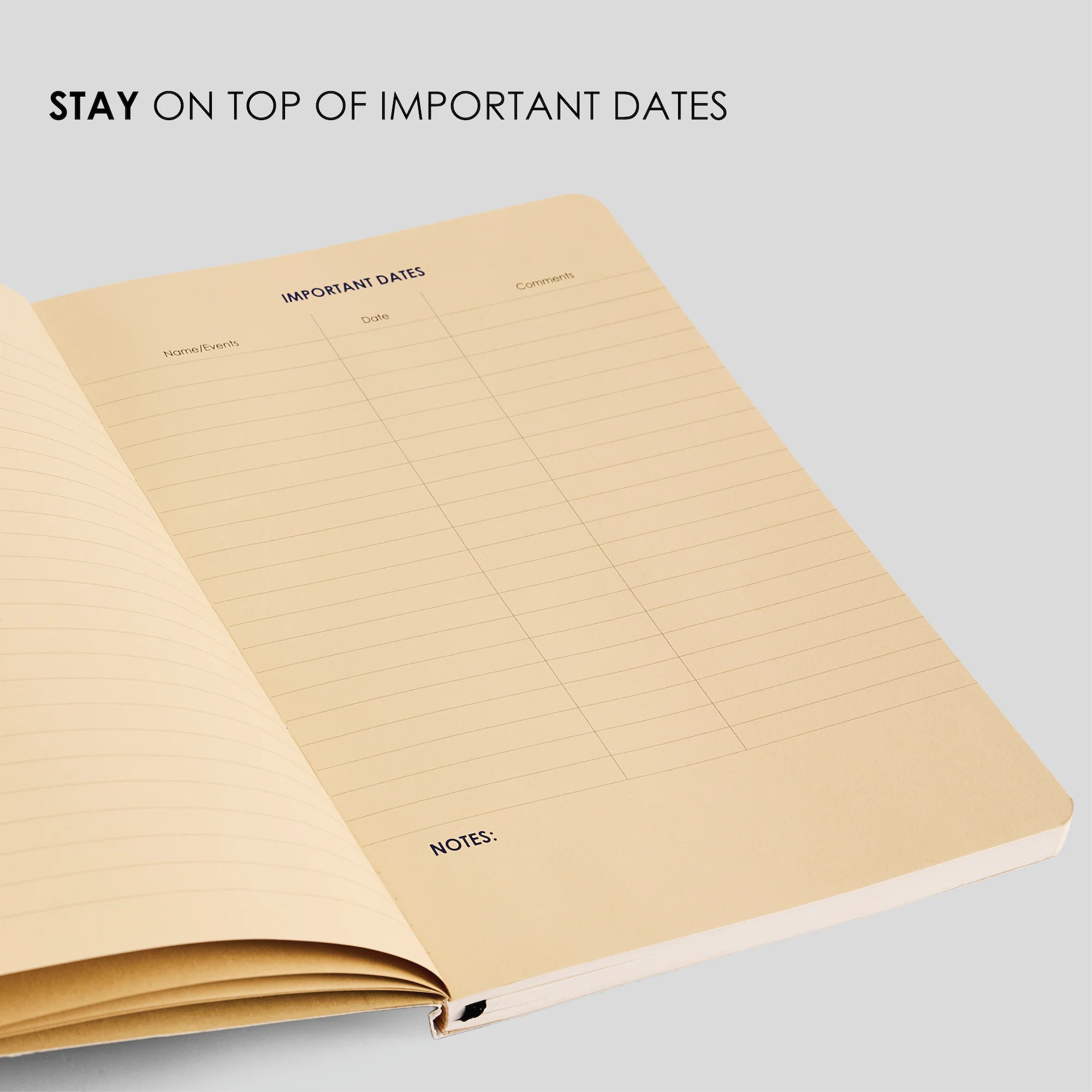 12 Week Productivity Journal - Image 4